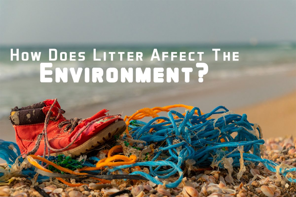 How Does Litter Affect the Environment?