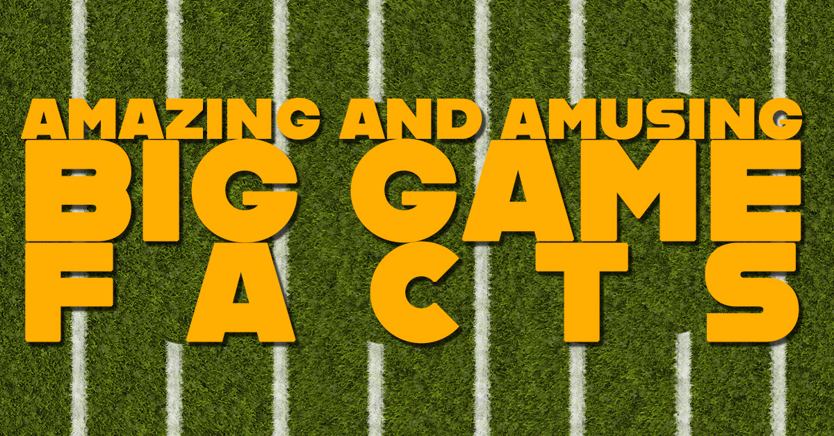 FUN- Amazing and Amusing BIG GAME Facts