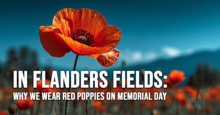 FUN-In Flanders Fields_ Why We Wear Red Poppies on Memorial Day