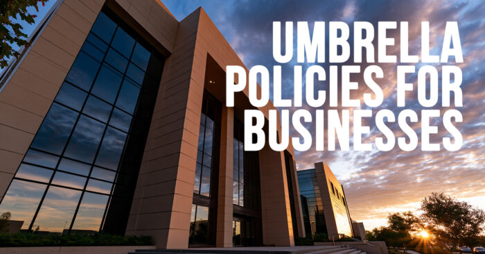 BUSINESS-Umbrella Policies for Businesses