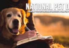 LIEF-National Pet Day_ Ensuring Your Life Insurance Includes a Plan for Your Pets