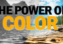 LIFE- The Power of Color